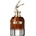 Jean Paul Gaultier Scandal Elixir Extrait de Parfum 30 ml