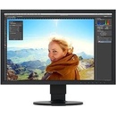 Eizo CS2420