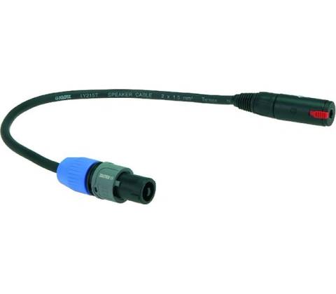 Klotz SCASP030