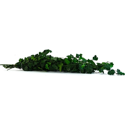 Stabilizovaný brečtan Helix mini zelený