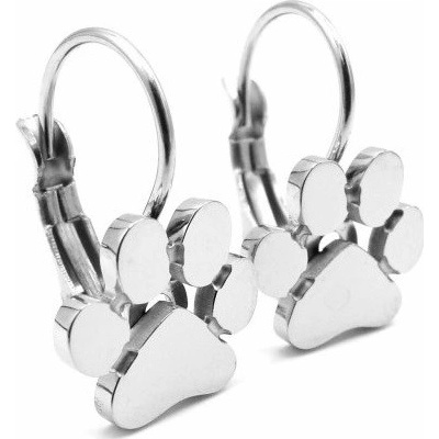 Steel Jewelry náušnice tlapky z chirurgické oceli NS220222