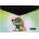 Oxy Irattasak OXY patentos A/4 Chameleon 8-96626 (8-96626)