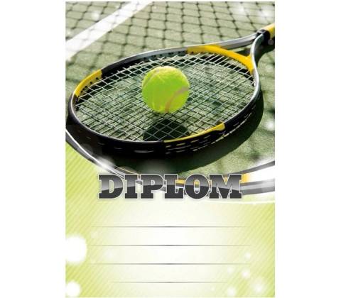 Diplom 6617