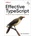 Effective Typescript