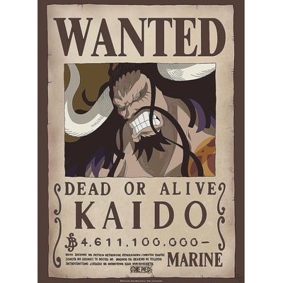 GB eye Мини плакат GB eye Animation: One Piece - Kaido Wanted Poster (GBYDCO265)