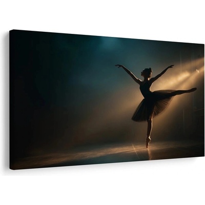 Obraz baletka v záři reflektorů - 60x40