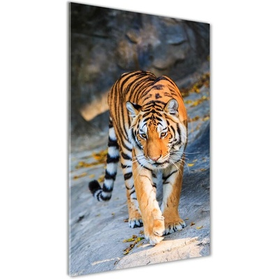 Vertikálny fotoobraz na skle Tiger 50x100 cm