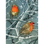 Birlinn General Wild Birds Pocket Notebook: Robin | Sarah Ross-Thompson