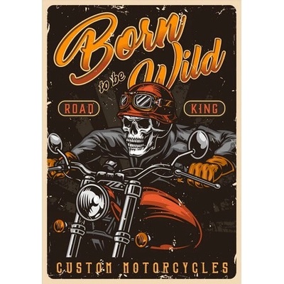 Ceduľa Motorcycles - Born To be Wild
