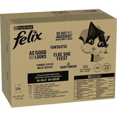 Felix tak dobré, jak to vypadá rozmanitost chutí z venkova 120x85 g