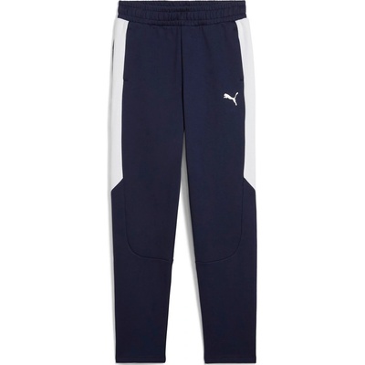 Puma TEAMEVOSTRIPE PANTS W 659956 06