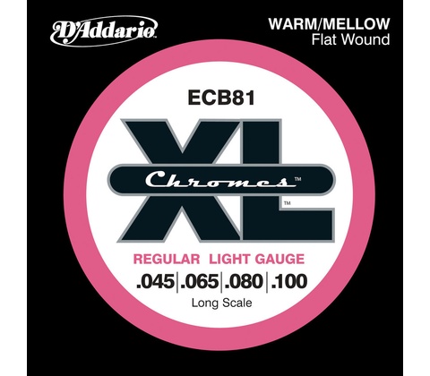 D'addario ECB81