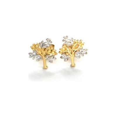 Pattic bicolor ARP321104