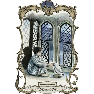 Europosters Plagát, Obraz - Harry Potter - Harry a Hedviga, 26.7 × 40 cm