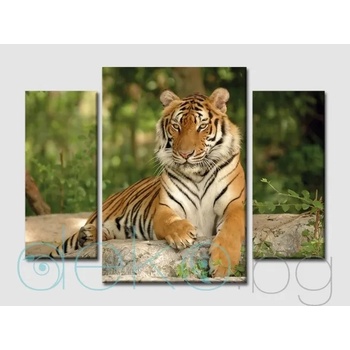 Image 1 of Тигър (40008)