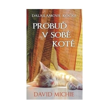 Dalajlamova kočka - Probuď v sobě kotě