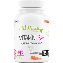 HillVital Vitamín B5 Kyselina pantothenová 100 kapslí