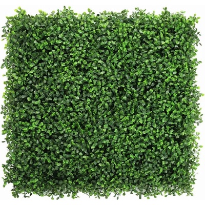 BUXUS GREEN, dílec 50 x 50 cm