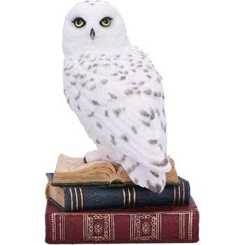 Nemesis Now Статуетка Nemesis Now Adult: Gothic - Library of Wisdom, 17 cm (D6818B24)