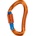 Skylotec Morfo BG (brilock gate)