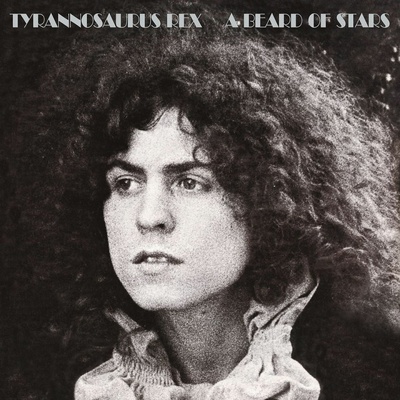 TYRANNOSAURUS REX: A BEARD OF STARS CD