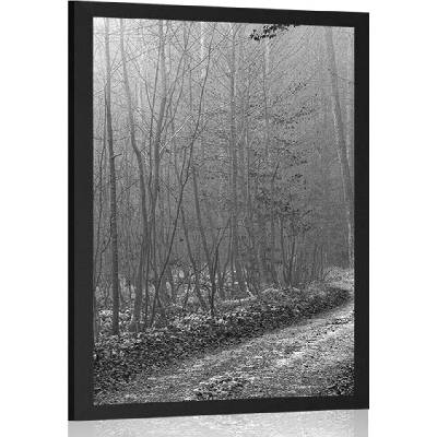 Plakát cestička do lesa - 40x60 silver