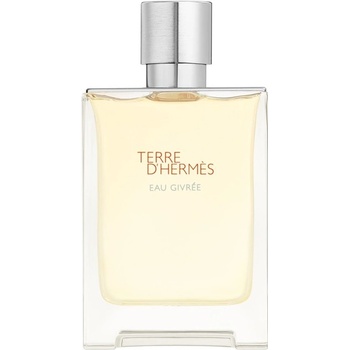 HERMÈS Terre d’Hermès Eau Givrée parfumovaná voda pánska 100 ml