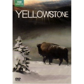 Yellowstone DVD