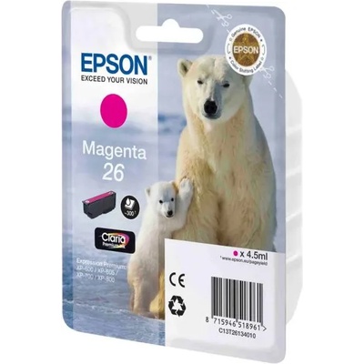 Epson T2613
