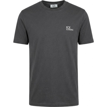 Iceberg Logo Grey