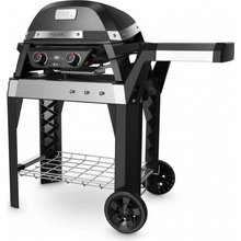 Weber PULSE 2000 WITH STAND