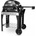 Weber PULSE 2000 WITH STAND
