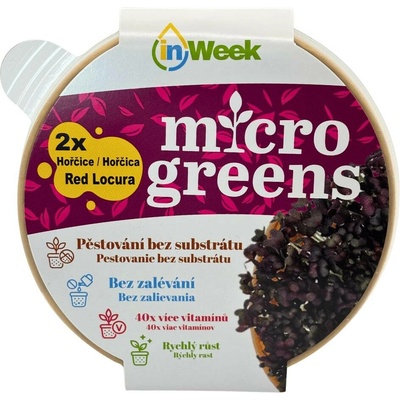 Hořčice RED LOCURA microgreens semínka + dárek k nákupu