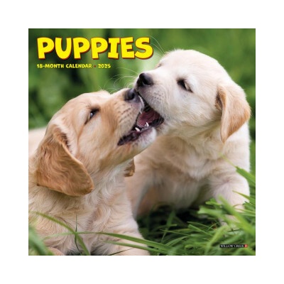 Puppies 7 X 7 Mini Wall 2026
