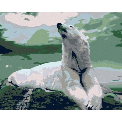 zuty Malování podle čísel Lední medvěd 100 x 80 cm bez rámu a bez vypnutí plátna 8596530037668