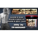 Megabol Whey Mass Gain 3000 g