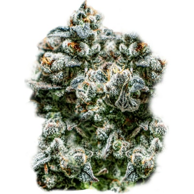 Super Strains Runtz auto semienka neobsahujú THC 1 ks