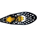 Haven Morpho bigfoot