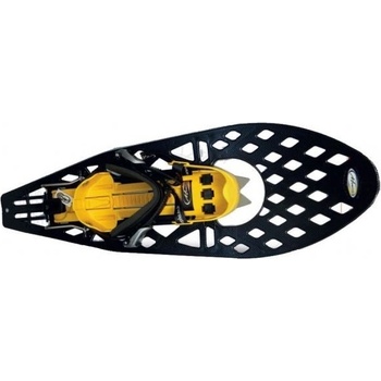 Haven Morpho bigfoot