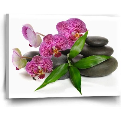 Sablio Obraz Orchidea a kamene - 90x60 cm