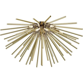 Image 1 of Zuma Line Urchin C0491-06B-F7DY