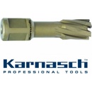 Karnasch 201315028