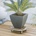 Nortene Поставка за саксия FLORA ROLL METAL WOOD, Nortene 2012045
