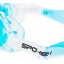Spokey Dolphin