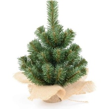 Erbis Vianočný stromček XMAS TREES 30 cm borovica ER0051