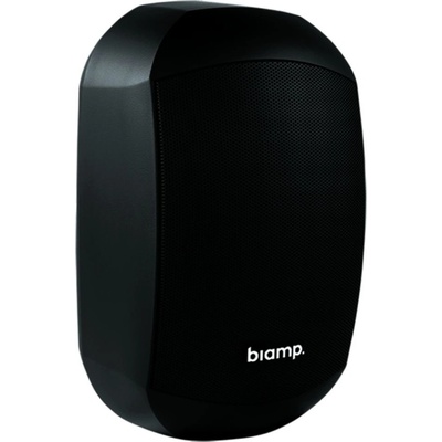 Biamp MASK4CT