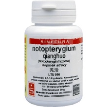 Sinecura Notopterygium Qianghuo extrakt 20 g