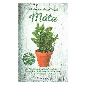 Máta
