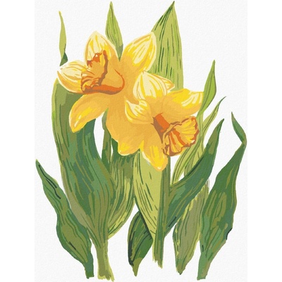 Zuty Malování Podle Čísel Žluté Narcisy Alexandria Gilbert 80 x 100 Cm Plátno