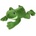 SUN-DAY Frog voice 30cm
